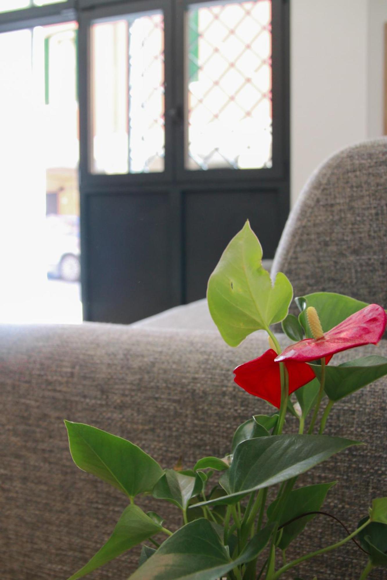 U Zone Apartment Болонья Экстерьер фото